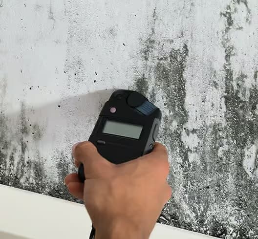 Mold Testing